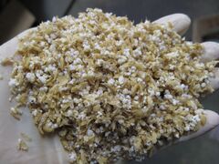 生籾米破砕加水サイレージ