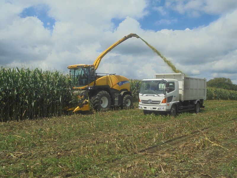 ファイル:コーンハーベスタ.JPG